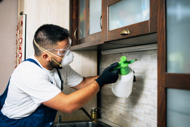 Best Pest Control Cost  in Pemberton Heights, NJ