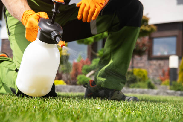 Best Affordable Pest Control Services  in Pemberton Heights, NJ