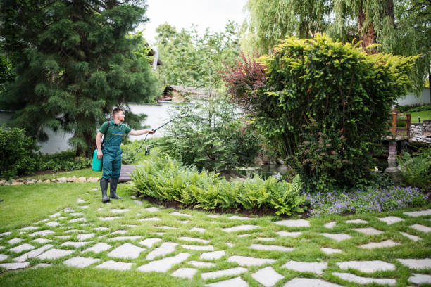Best Mosquito Control Services  in Pemberton Heights, NJ