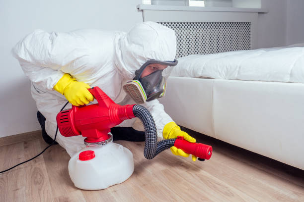 Best Pest Control Treatment  in Pemberton Heights, NJ