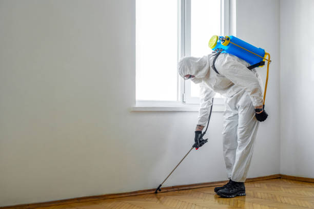 Best Pest Prevention Services  in Pemberton Heights, NJ