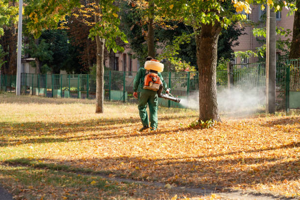 Best Wildlife Control Services  in Pemberton Heights, NJ