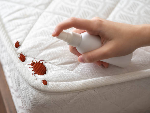 Insect Control in Pemberton Heights, NJ