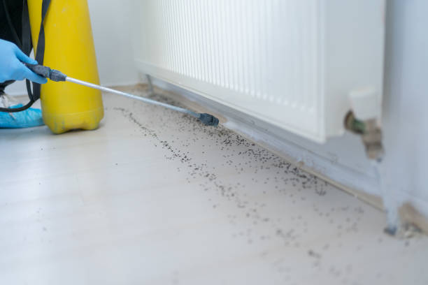 Pest Control Cost in Pemberton Heights, NJ