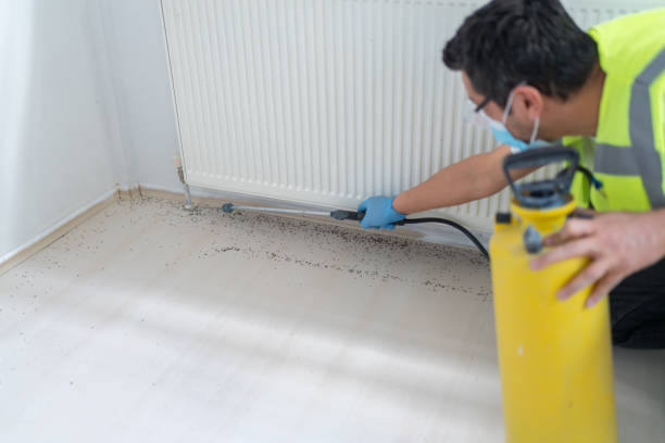 Pest Prevention Services in Pemberton Heights, NJ