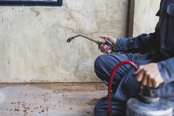 Best Pest Removal Services  in Pemberton Heights, NJ
